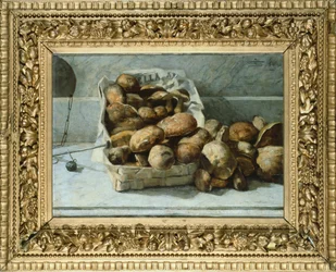 Cogumelos