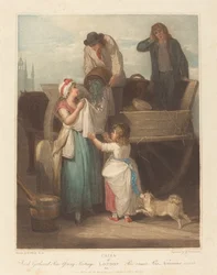 Ervilhas frescas colhidas, jovens Hastings