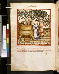 Theatrum sanitatis de Ububchasym de Baldach: "Autupnus", primeira década do século XIV (miniatura)
