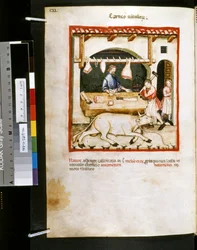 Theatrum sanitatis de Ububchasym de Baldach: "Carnes Vitulorum", primeira década do século XIV (miniatura)