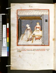 Theatrum sanitatis de Ububchasym de Baldach: "Trij", primeira década do século XIV (miniatura)