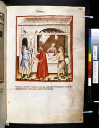Theatrum sanitatis de Ububchasym de Baldach: "Ubera", primeira década do século XIV (miniatura)