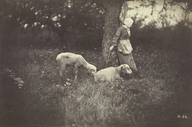 Pastora encostada em uma árvore, com duas ovelhas, 1870.