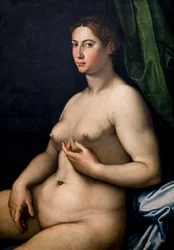 Retrato de uma mulher. Século XVI (Óleo sobre tela)