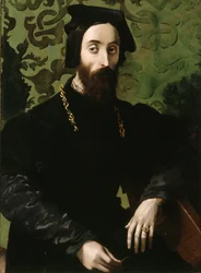 Retrato de um músico, c.1540 (óleo sobre painel)