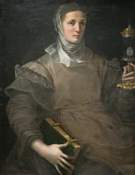 Clara de Estrelas