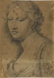busto de mulher