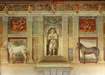 Sala grande dei cavalli, com frescos dos cavalos preferidos dos Gonzaga ... (fresco)