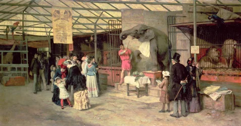 No zoológico