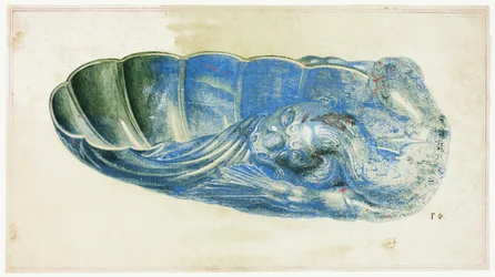 Concha azul e verde com cabeça de dragão
