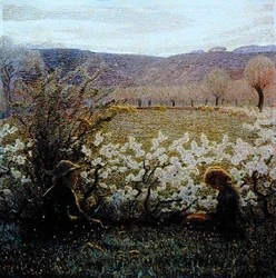 Campo em Bloom (óleo sobre tela)