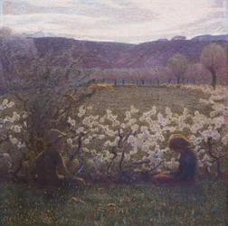 Prado de flores