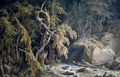 Paisagem rochosa com árvores arrancadas, de Giuseppe Pietro Bagetti (1764-1831).