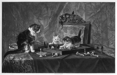 Gatos brincando com um tabuleiro de xadrez.