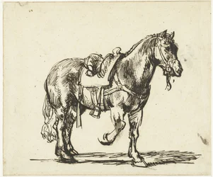 Cavalo do Bom Samaritano