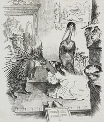 Cão e porco-espinho, caricatura de Jean-Jacques Grandville (1803-1847), litografia de Giovanni Mariani de Poliorama Pittoresco, n 38, 30 de abril