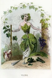 Ilustração para "Les Fleurs Animees".