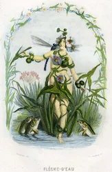 Ilustração para "Les Fleurs Animees".