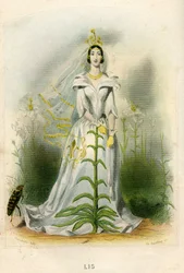 Ilustração para "Les Fleurs Animees".