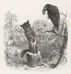 Fábula de La Fontaine: O Corvo e a Raposa, c.1860 (gravura)