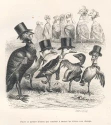 Ofício de um ganso jovem que consiste em levar os alunos para os campos. Os gansos afastam-se da sua cria. Vinhetas ilustradas por J. J. Granville. Gravura assinada por Brévière na parte intitulada «Guia asnal para uso dos animais que querem alcançar as