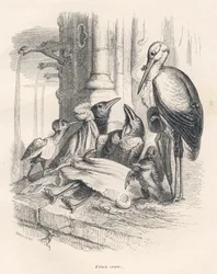 Morte de um corvo com a sua família e uma cegonha. Vinhetas ilustradas por JJ Granville. Gravura assinada Breviere na parte intitulada "Souvenirs d