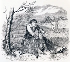 The Birdcatcher, the Goshawk and the Lark - Fábulas de La Fontaine