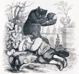 O urso e o amante do jardim - Fábulas de La Fontaine