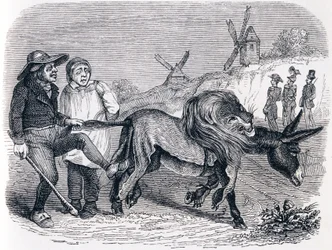 O burro com pele de leão (L