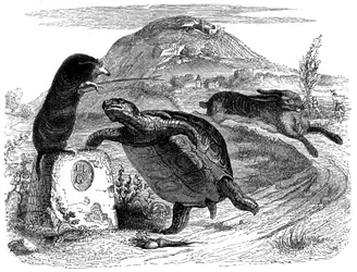 A lebre e a tartaruga: Fábula de La Fontaine ilustrada por Grandville.