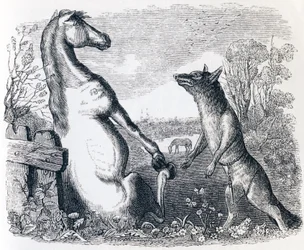 O cavalo e o lobo (Le cheval et le loup) - Fábulas de La Fontaine