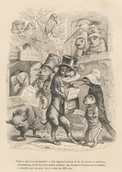 Aqui está o que acabou de sair. Gato e pássaro vendendo o presente livro por seis sous. Vinhetas ilustradas por JJ Granville . Gravura assinada por Andrew, Best e Leloir no prólogo intitulado "Resumo Parlamentar" escrito por PJ Stahl em "Scenes de la vie