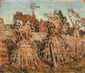 O campo de milho