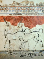 Antílopes, fresco de Akrotiri, Tera, hoje Santorini, Grécia, civilização minoica