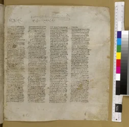 Codex Sinaiticus (velino)