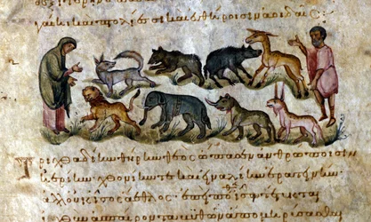Jogo: os animais que você pode caçar - em "De Venation" e por Oppianus, manuscrito grego do século XIII.