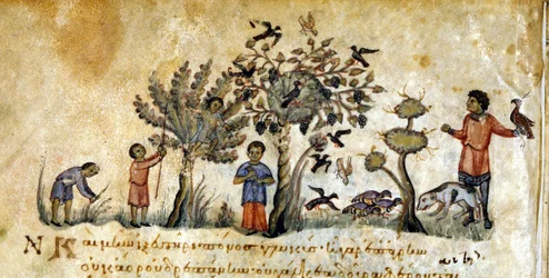 Caça com falcões para capturar aves - em "De Venatione", de Oppianus, manuscrito grego do século XIII. Biblioteca Marciana. Veneza