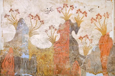 Sala dos lírios ou primavera, Akrotiri fresco, Thera (hoje Santorini), Grécia, Civilização Minoana
