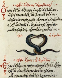 Acoplamento, teste e miniatura de De animalium natura et proprietate libellus, de Aelianus (Século 2-3 d.C.)