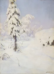 inverno na floresta