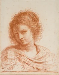 Chefe de uma Jovem Mulher, 1550-1666