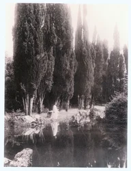 Pompeia (foto)