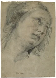 A cabeça de uma jovem olhando para cima, c.1609 (giz preto e vermelho com toques de giz branco sobre papel castanho)