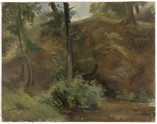 Árvores em uma paisagem de dunas