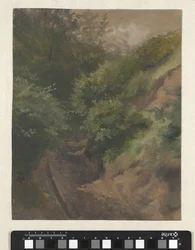 Estrada das dunas