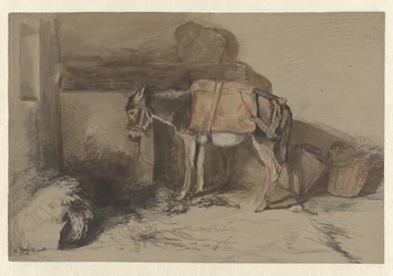 Burro no estábulo