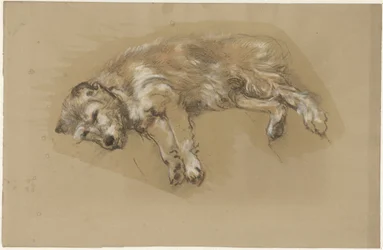 Cão reclinador