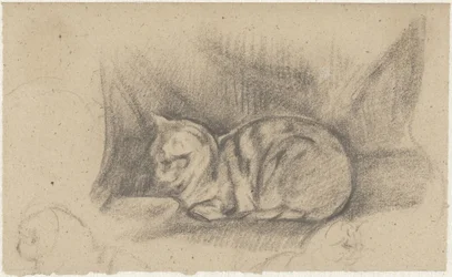 Gato deitado à esquerda