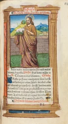 Livro de horas impresso (uso de Roma): fol. 98r, S. João Batista