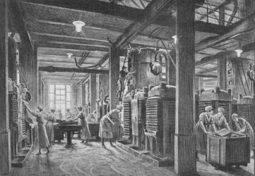 Uma planta moderna de esmagamento de sementes oleaginosas, c1918, 1918